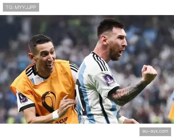 迪马利亚最新情况：伤情恢复进展与复出时间